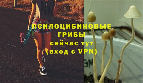 ALPHA PVP Абдулино