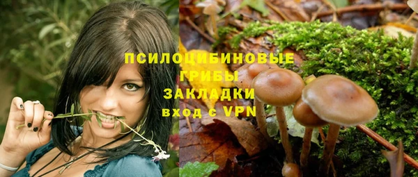 ECSTASY Абинск