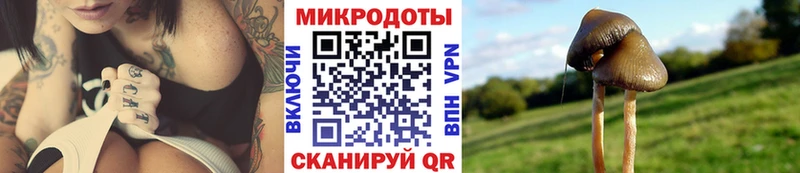 кракен зеркало  Ядрин  Псилоцибиновые грибы прущие грибы 